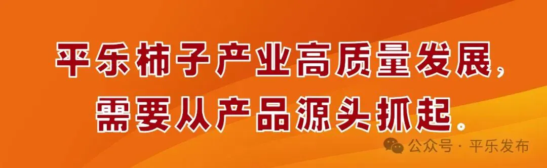 如何制定智能篮球训练计划_1